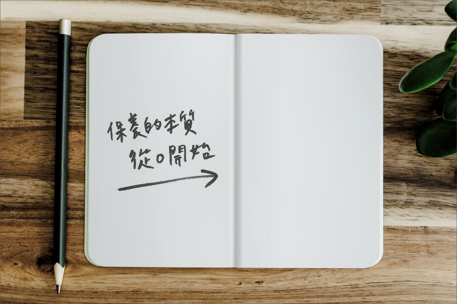 為肌膚添加必要的理性，從 0 開始的保養學