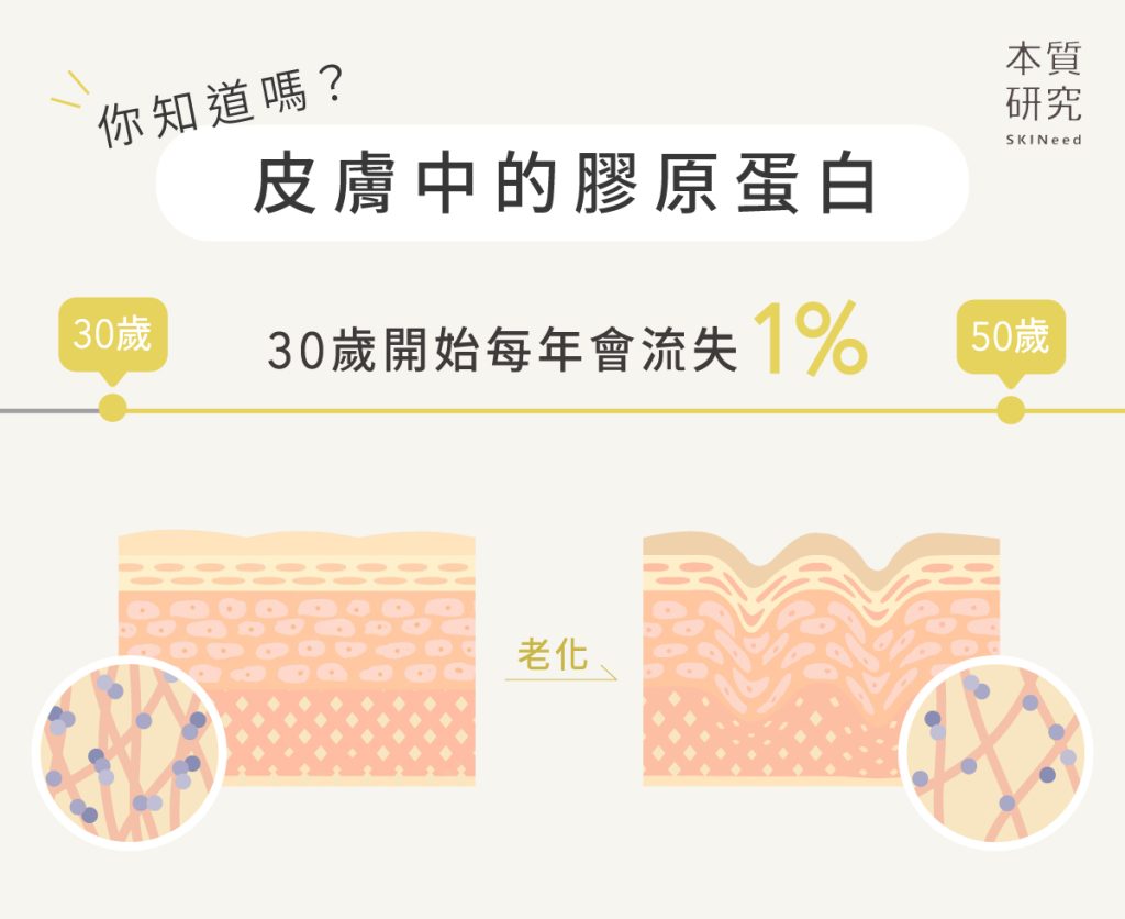 內服與外用的膠原蛋白功效？3個關鍵步驟有效保養肌膚-肌膚與膠原蛋白