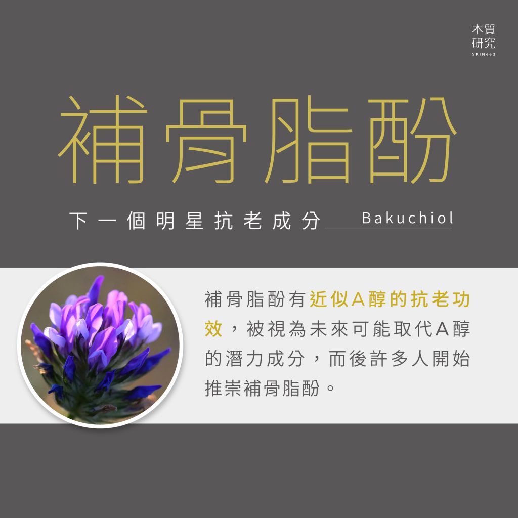 補骨脂酚 6 大功效全解密！一次揭密補骨脂酚、A 醇誰才是抗老最強成分