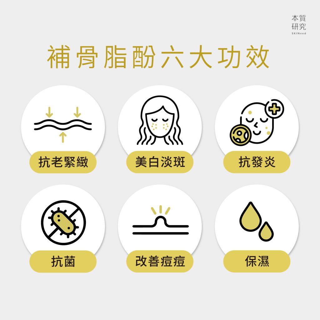 補骨脂酚 6 大功效全解密！一次揭密補骨脂酚、A 醇誰才是抗老最強成分