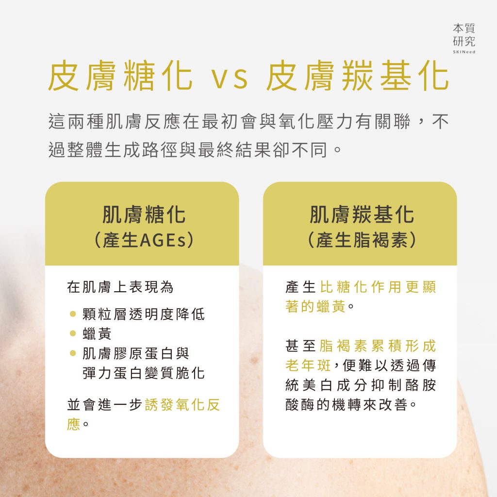 老人斑？老年斑？美白淡斑新對策：除了黑色素還有脂褐素！揮別臉部暗沉蠟黃的 5 大關鍵方案