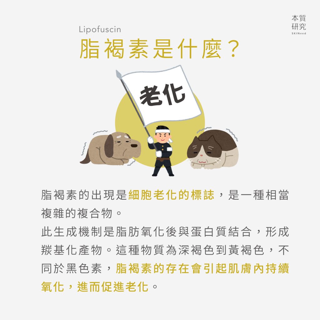 老人斑？老年斑？美白淡斑新對策：除了黑色素還有脂褐素！揮別臉部暗沉蠟黃的 5 大關鍵方案